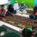 Sambut Pergantian Tahun 2020, Santri Diniyah Darul Falah Berdoa Dijauhkan Dari Bencana Covid-19