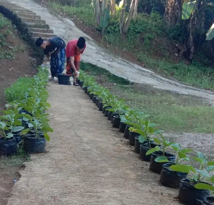 Selain Ilmu Agama, Santri Ponpes Darul Falah Diajarkan Cara Bertani