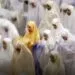 Mengapa Orang Harus Suci ketika Shalat?