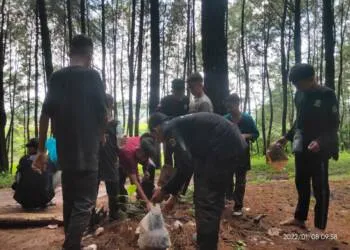 Bukti Cinta Alam, Santri Ponpes Darul Falah Cimanggu  Bakti Pungut Sampah di Hutan Pinus Saat Outbound